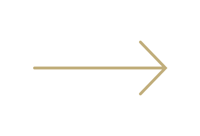 button-icon
